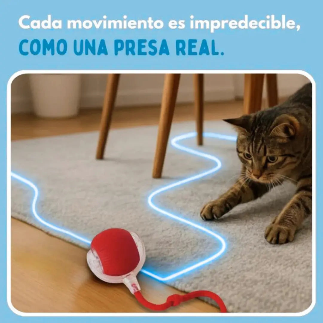 PelotaViva™-Pelota de aventura interactiva para tu mascota-🎁 40% OFF